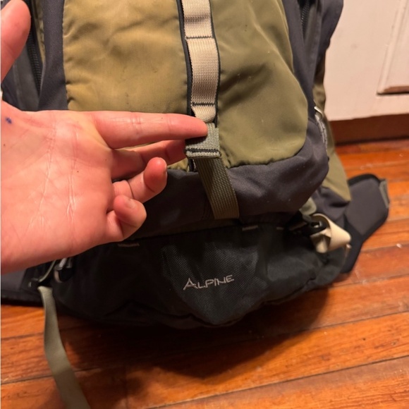 REI ALPINE backpack travel Europe backpacking hiking forest green - Picture 2 of 5